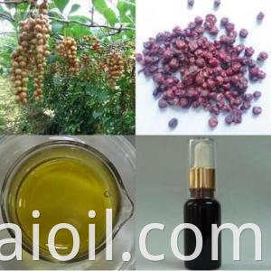 Schisandra oil